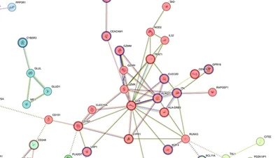 Machine Learning for analysis of Multiple Sclerosis cross-tissue bulk and single-cell transcriptomics data featured image