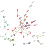 Machine Learning for analysis of Multiple Sclerosis cross-tissue bulk and single-cell transcriptomics data